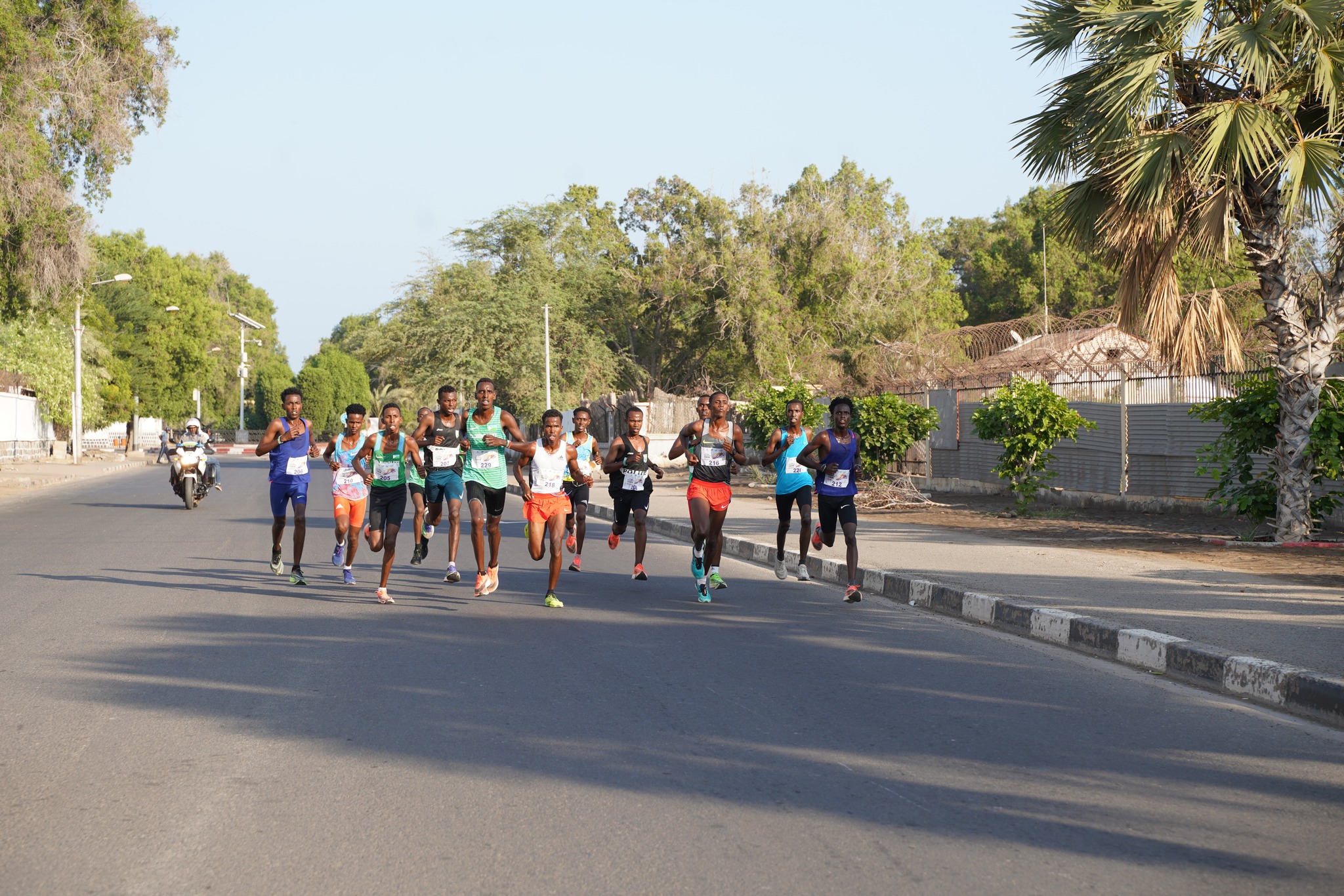 Air Djibouti Gallery